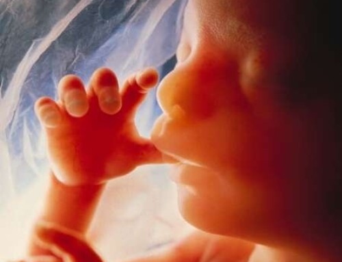 In Canada, babies are born alive and die after abortion -150 in 2018