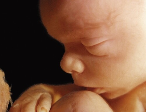 ABORTION MYTHS